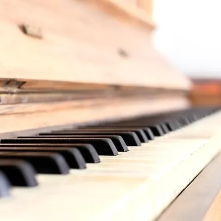 Studencka Street, Next To Planty Park Краков